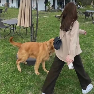 楼