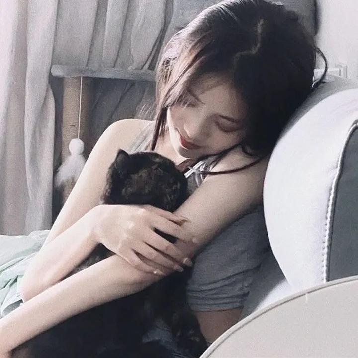 爱的猎犬